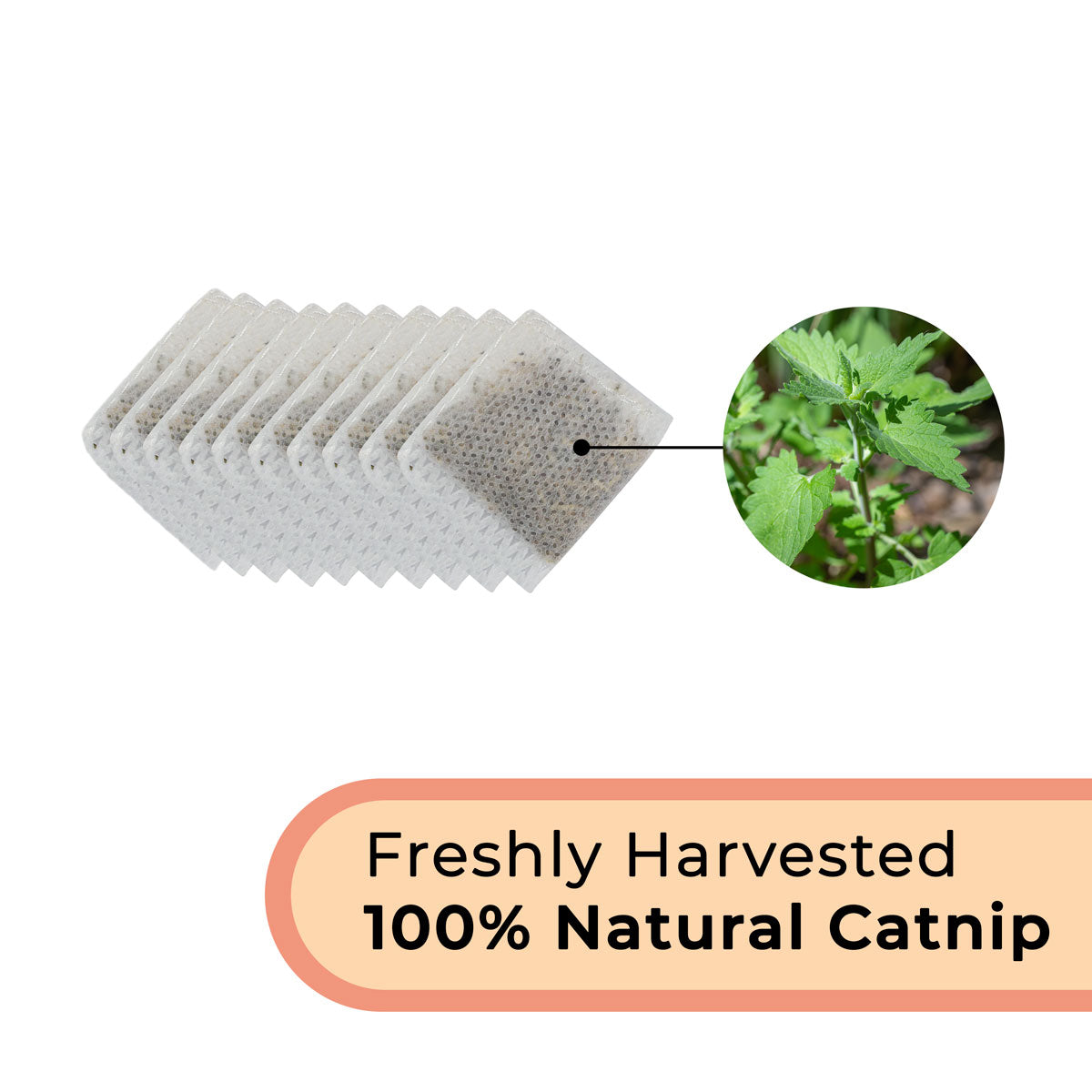 Replacement Catnip Pouches (Catnip Bird Toy Set)