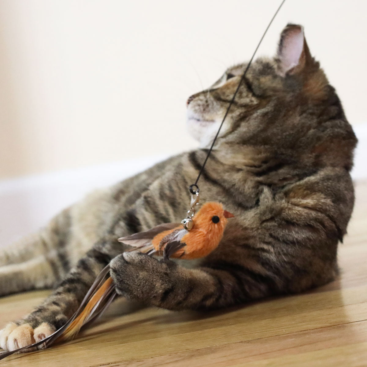 Interactive Bird Simulation Cat Toy Set (Lifetime Bundle)