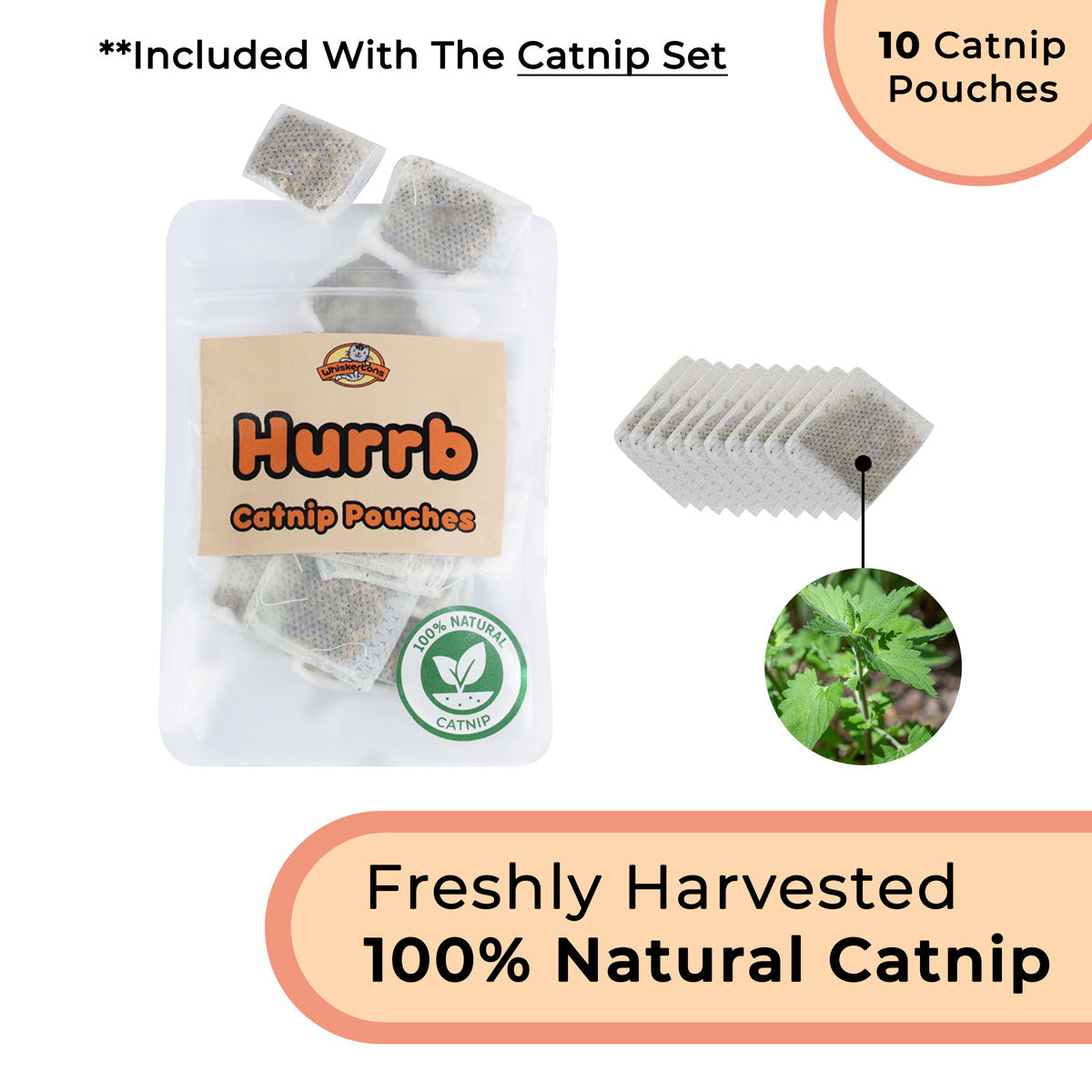 Interactive Bird Simulation Cat Toy Set