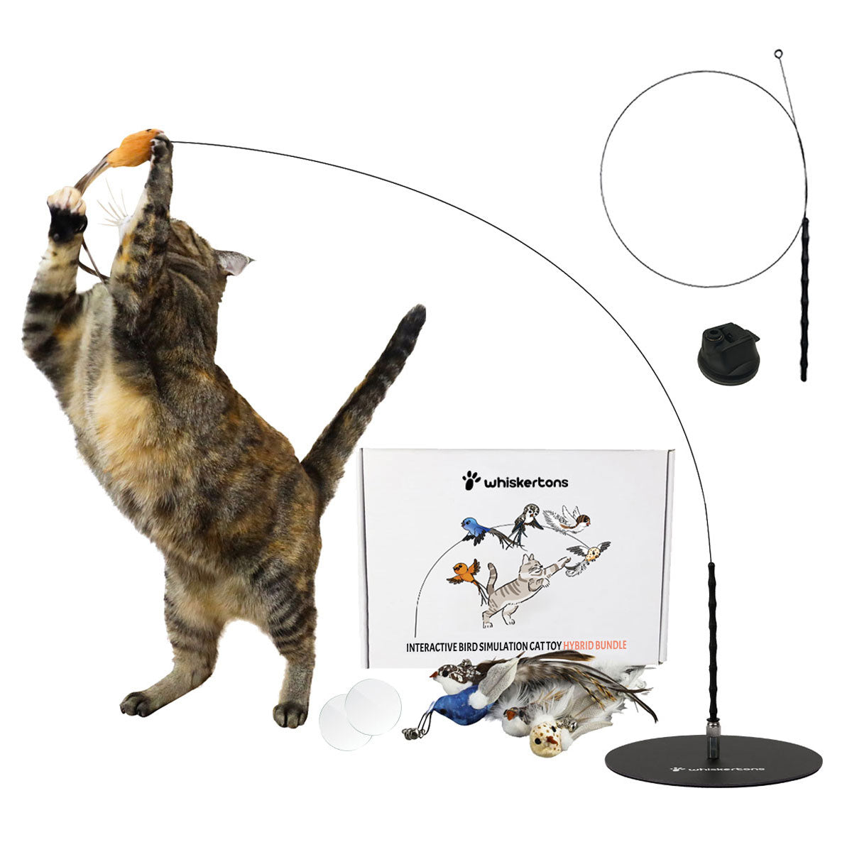Interactive Bird Simulation Cat Toy Set