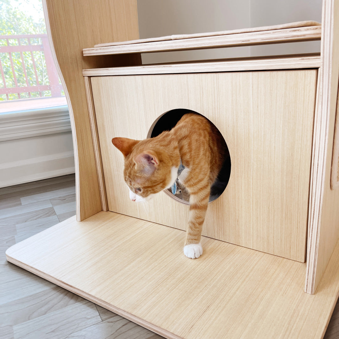 Cat cubby