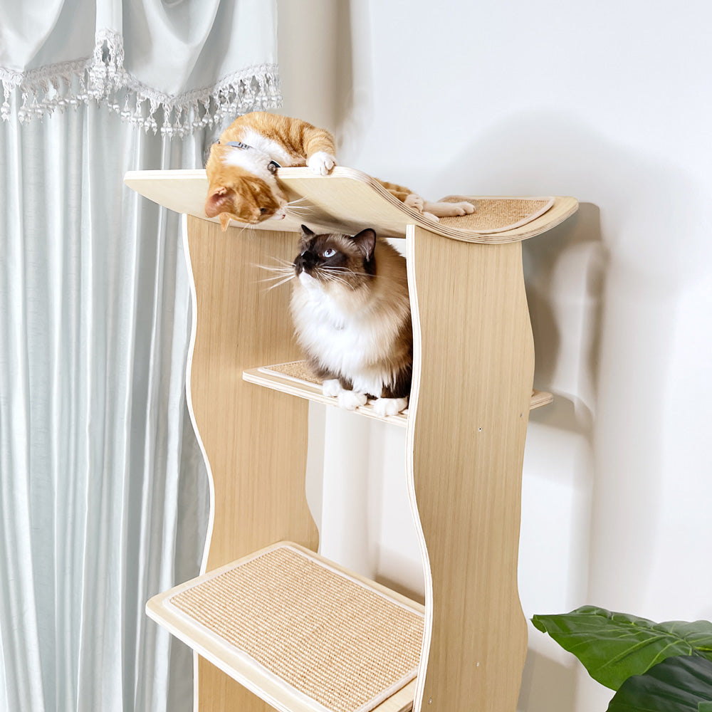 Modern Cat Condo