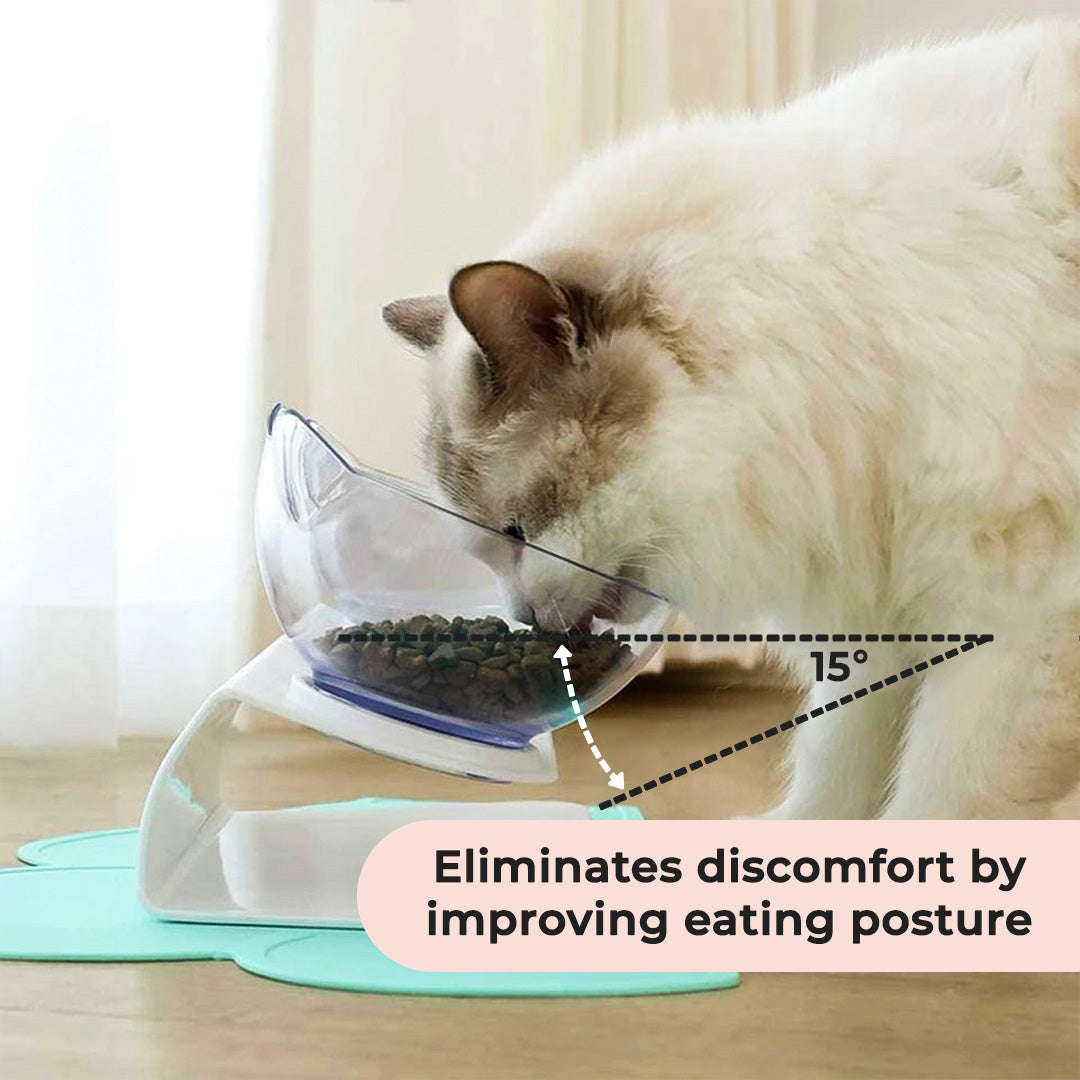 Anti-Vomiting Orthopedic Cat Bowl