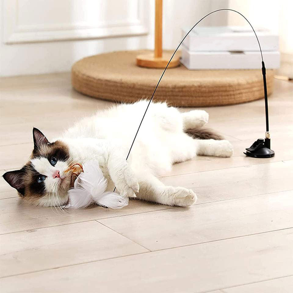 Replacement Birds (Interactive Bird Simulation Cat Toy)