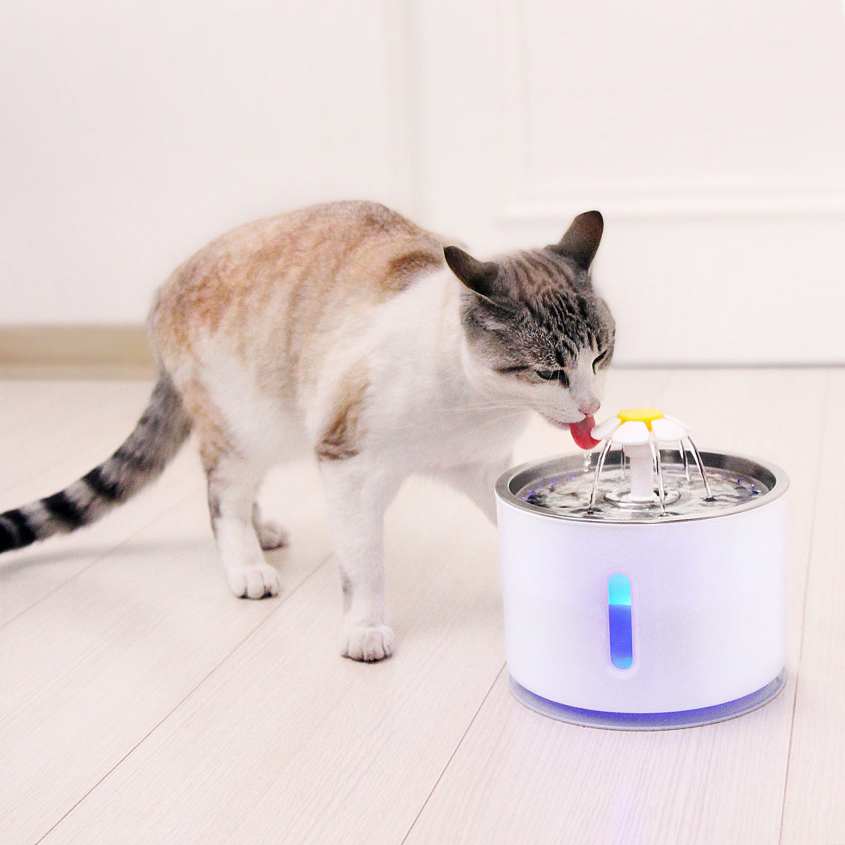 Cat Flower Fountain