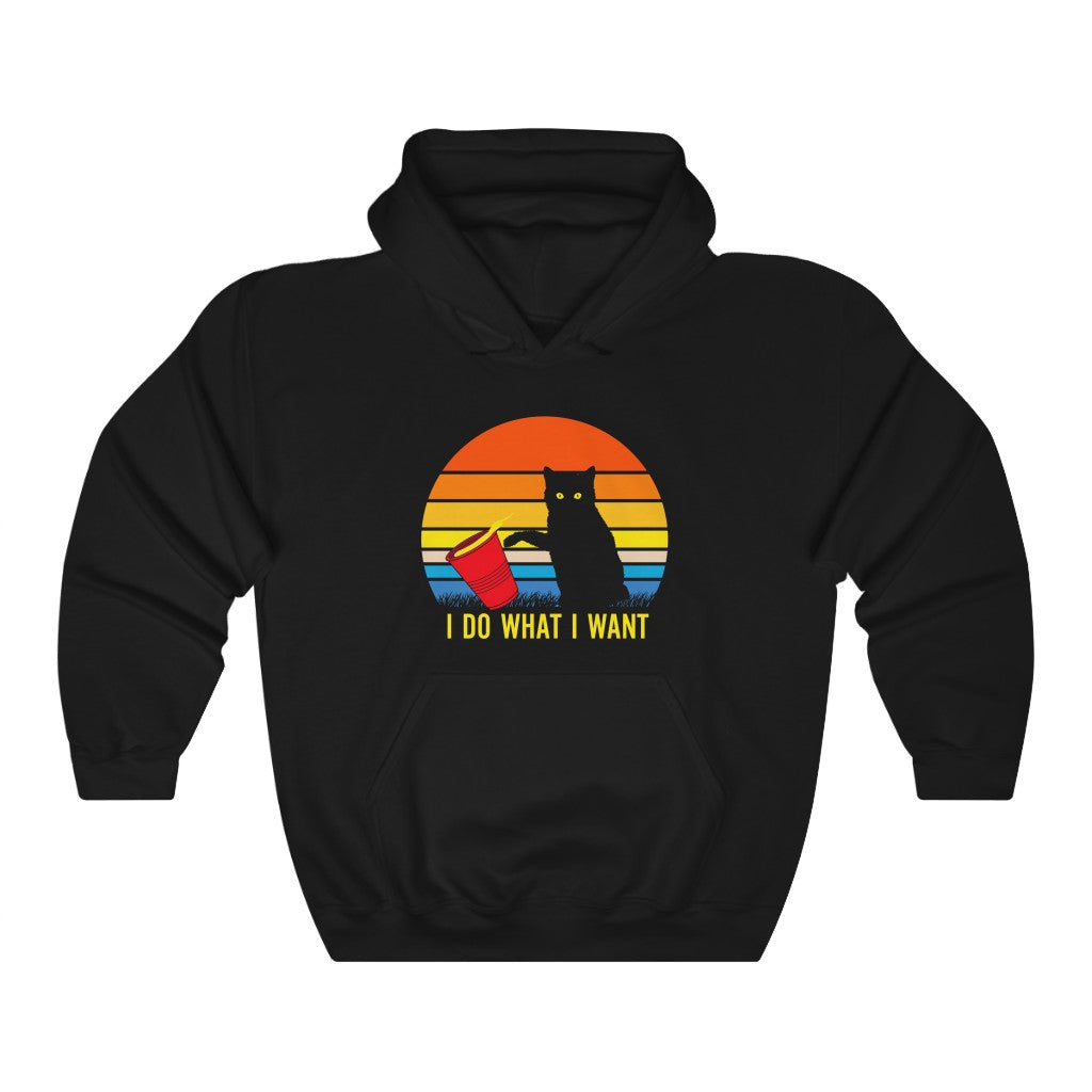 I Do What I Want Hoodie