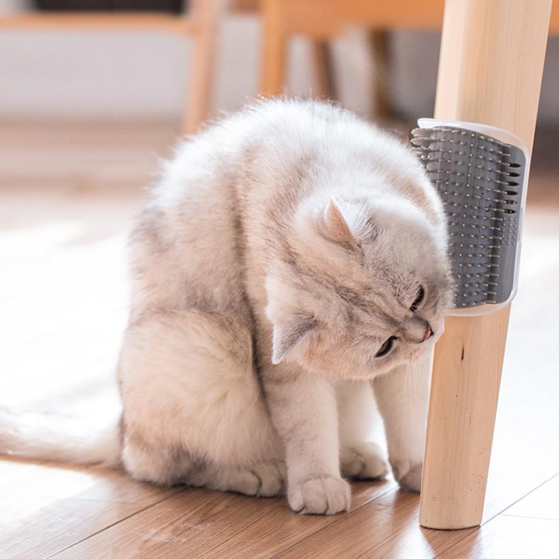 Grooming