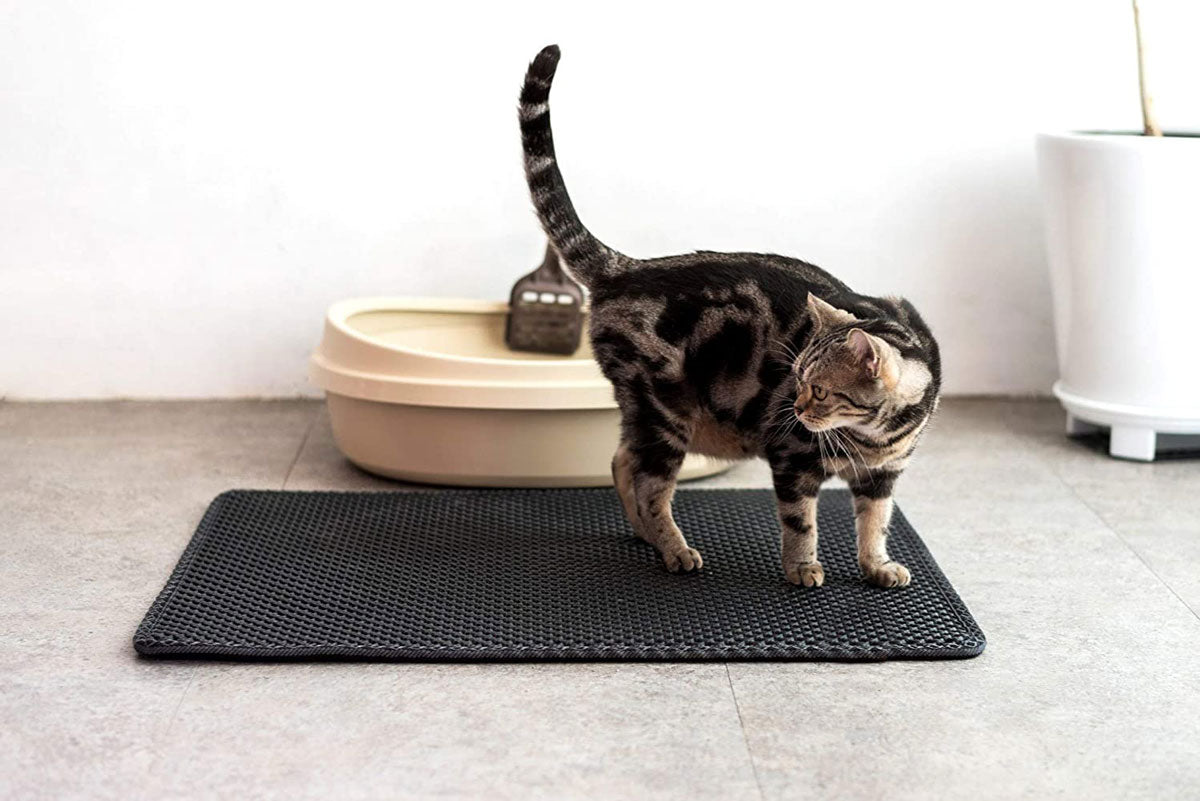 Litter Accessories