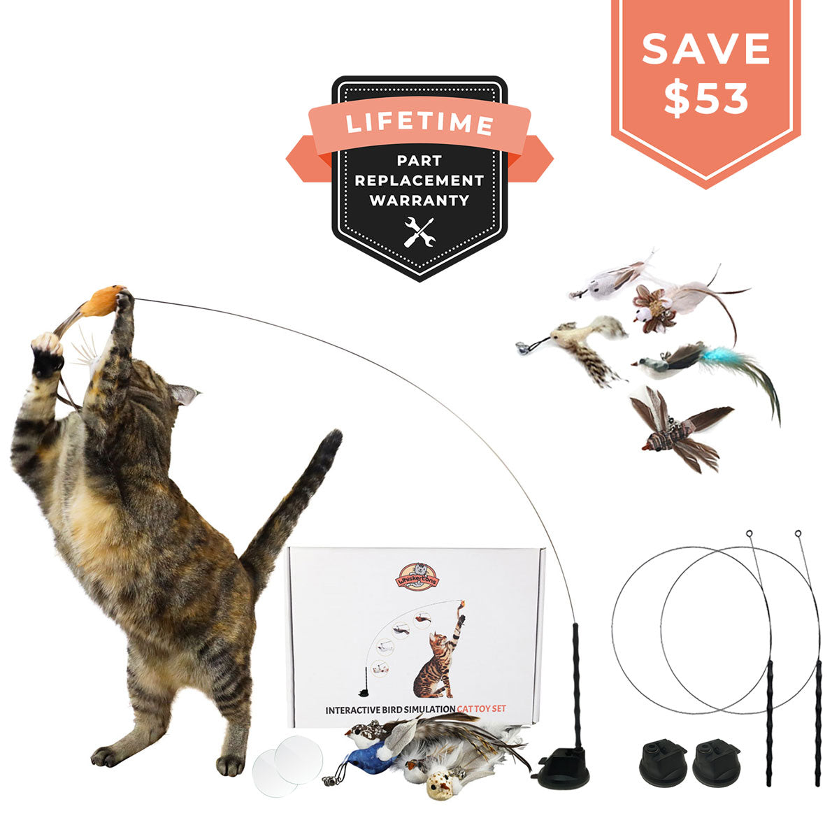 Interactive Bird Simulation Cat Toy Set (Lifetime Bundle)