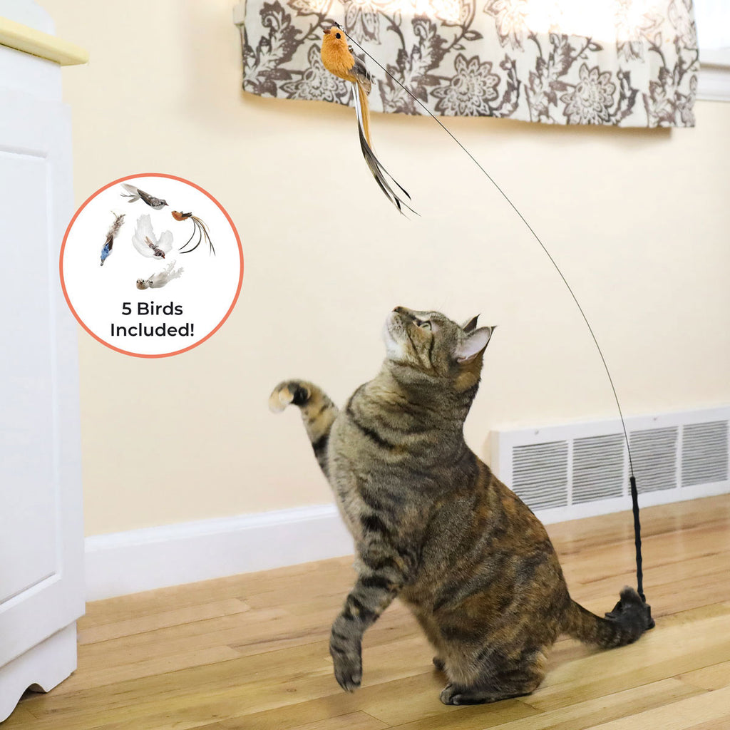 Interactive Bird Simulation Cat Toy Set – Whiskertons™