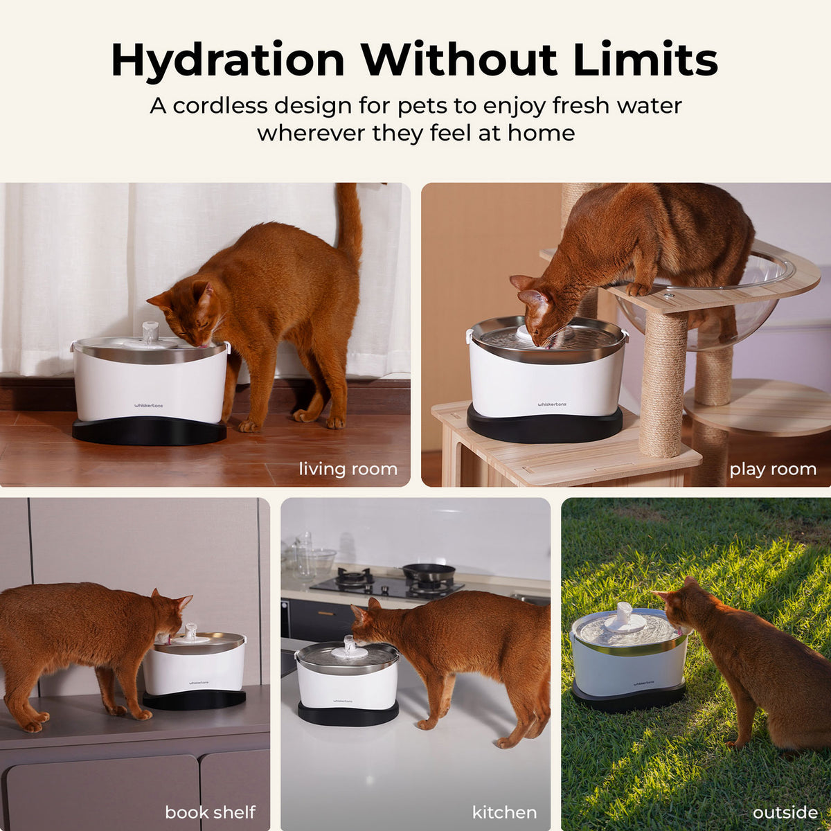 EverMount Battery-Operated Pet Water Fountain (Essential Bundle)