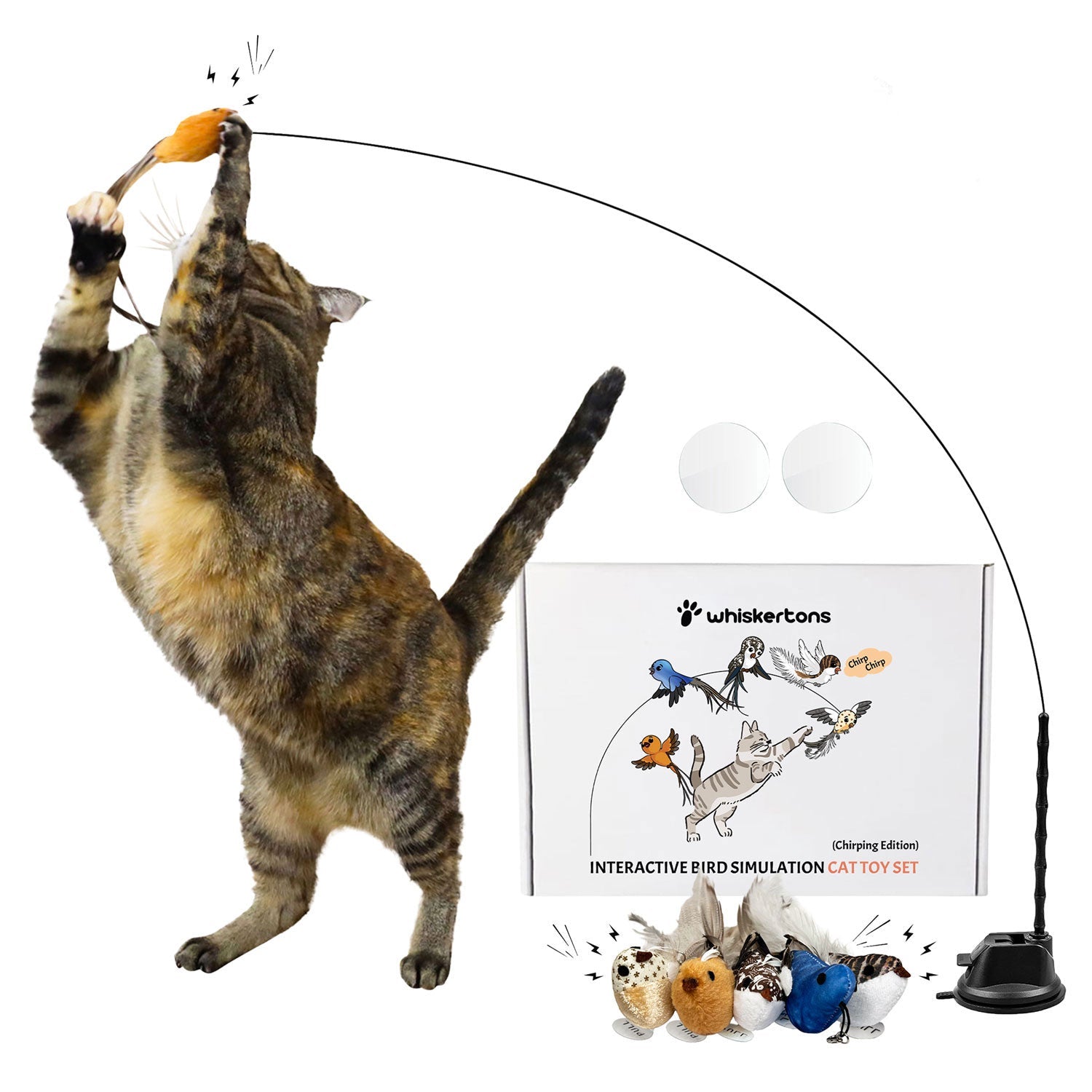Interactive Bird Simulation Cat Toy Set