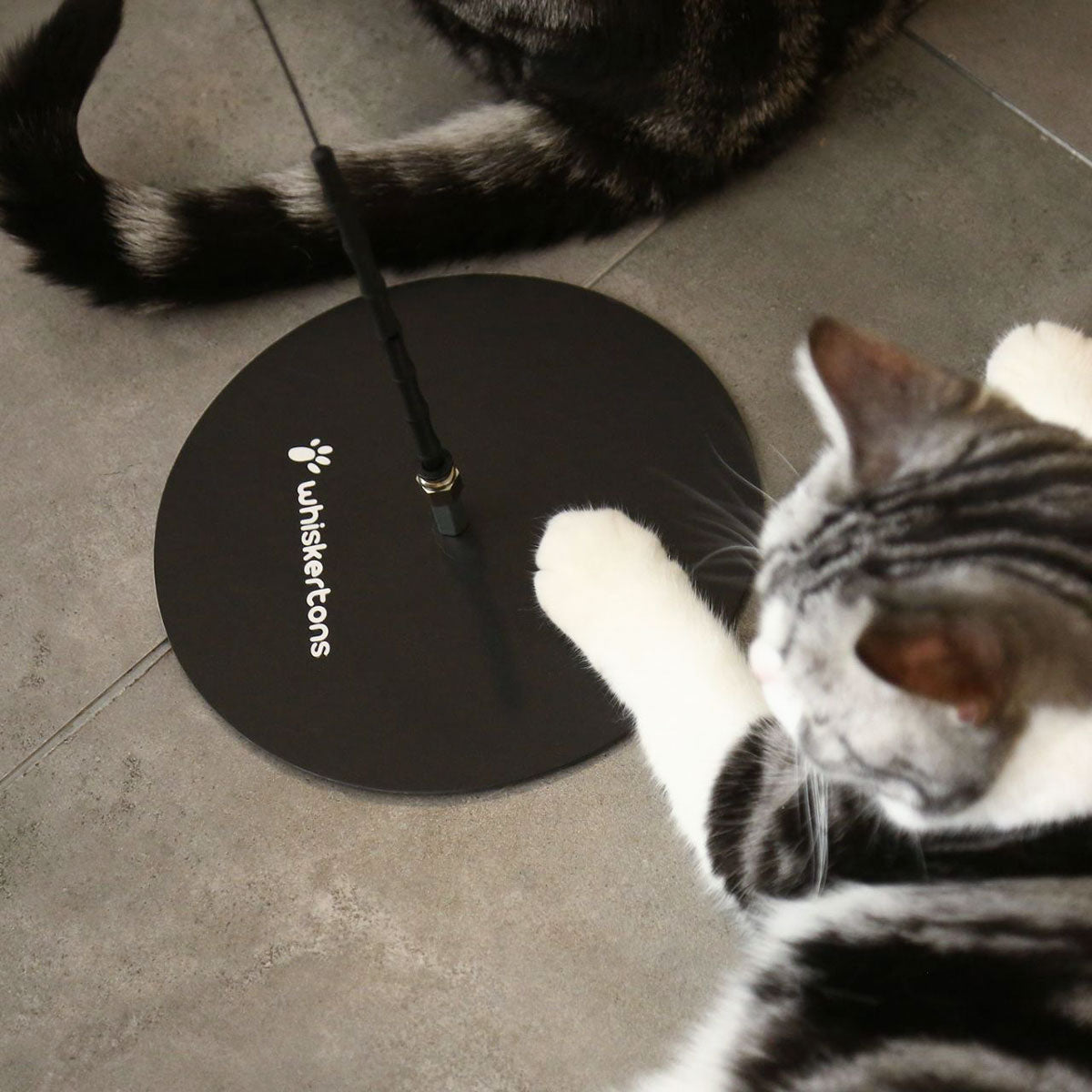 Weighted Plate (Interactive Bird Simulation Cat Toy)