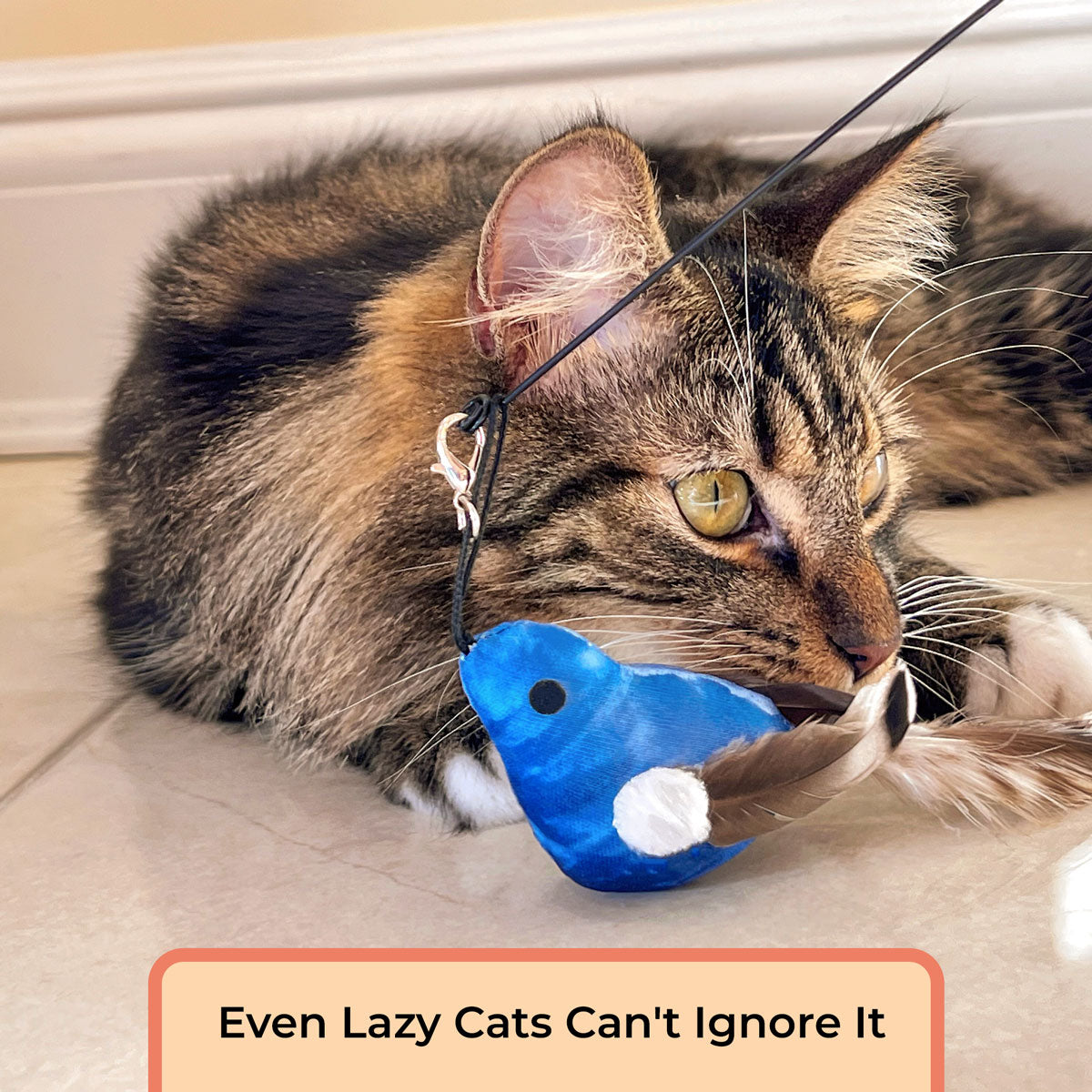 Interactive Bird Simulation Cat Toy Set (Chirping Edition)