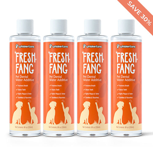 FreshFang Bundle