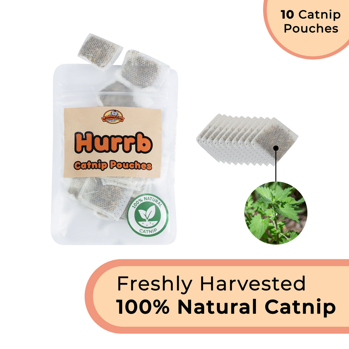 Interactive Bird Simulation Cat Toy Hybrid Bundle (Deluxe Edition)