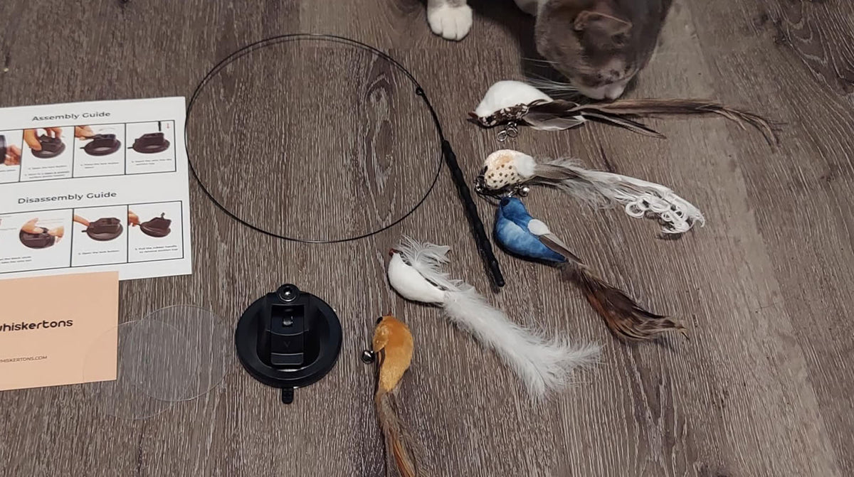 Whiskertons Interactive Bird Simulation Cat Toy Set unboxed: suction base, flexible wire, assembly guide, and five replaceable bird attachments, with a cat sniffing nearby