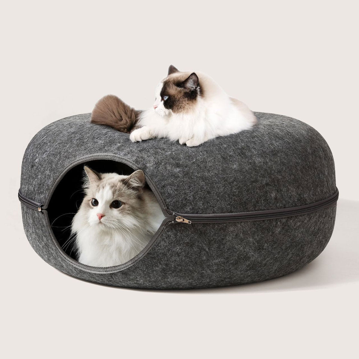 Cat Tunnel Bed