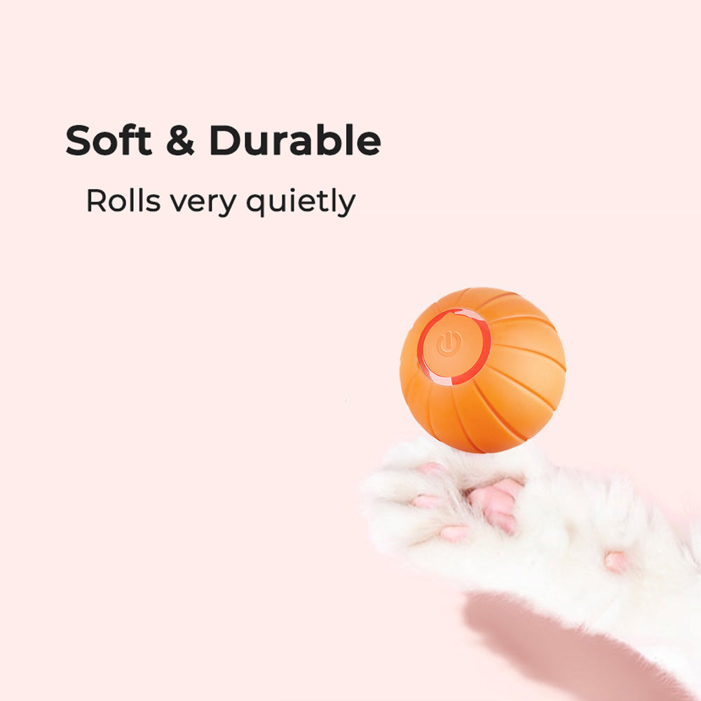 Scratch-n-Roll Bundle