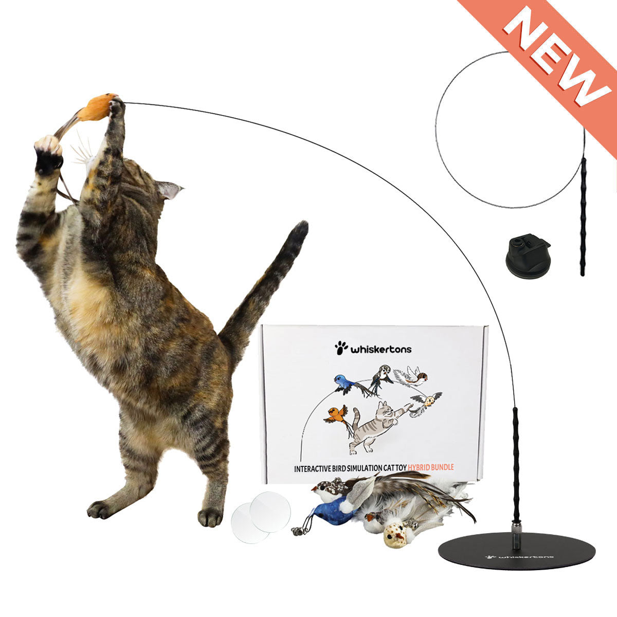 Interactive Bird Simulation Cat Toy Hybrid Bundle