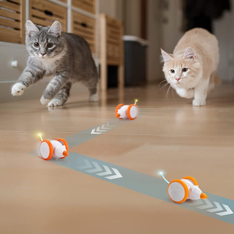 Kitty Quest Interactive Mouse Toy