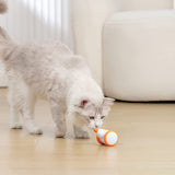 Kitty Quest Interactive Mouse Toy