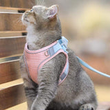 EZ Stride Cat Harness