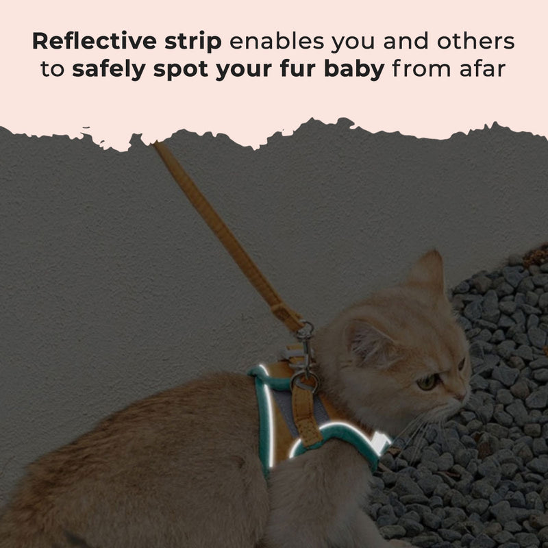 EZ Stride Cat Harness