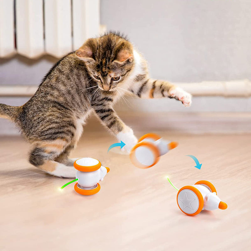 Kitty Quest Interactive Mouse Toy